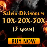 Buy Salvia extracts